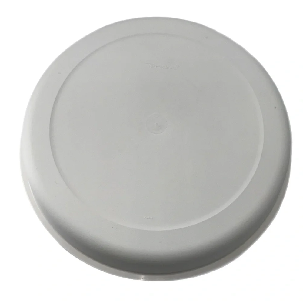 Vintage Tupperware Divided Vegetable Relish Chip & Dip Serving Tray Lid Dip Bowl